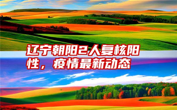 辽宁朝阳2人复核阳性,疫情最新动态