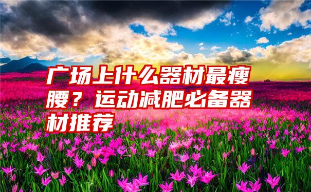 广场上什么器材最瘦腰？运动减肥必备器材推荐