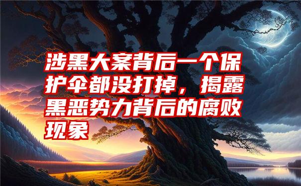 涉黑大案背后一个保护伞都没打掉,揭露黑恶势力背后的腐败现象
