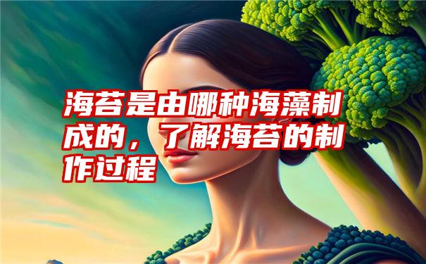 海苔是由哪种海藻制成的，了解海苔的制作过程