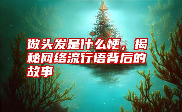 做头发是什么梗，揭秘网络流行语背后的故事