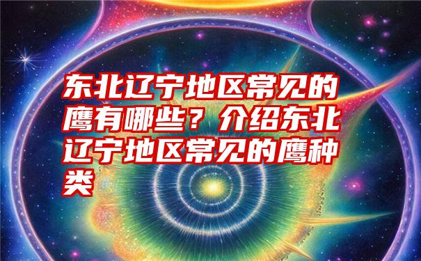 东北辽宁地区常见的鹰有哪些？介绍东北辽宁地区常见的鹰种类