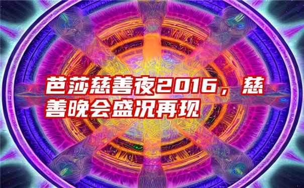 芭莎慈善夜2016，慈善晚会盛况再现