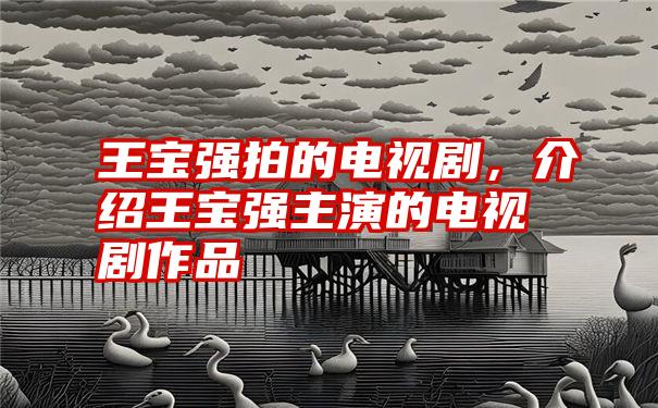 王宝强拍的电视剧,介绍王宝强主演的电视剧作品