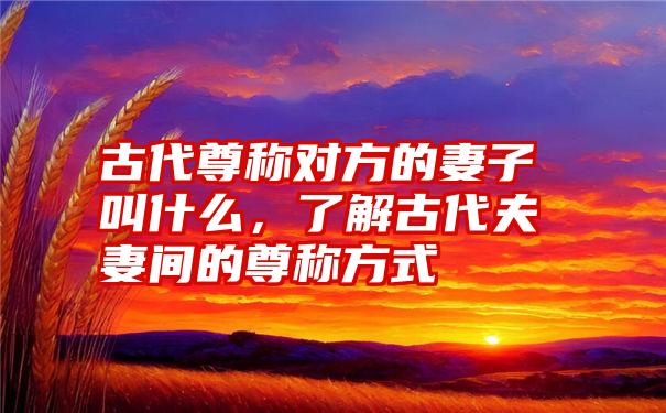 古代尊称对方的妻子叫什么，了解古代夫妻间的尊称方式