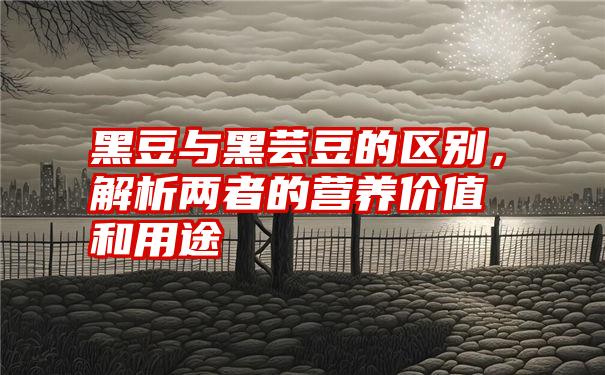 黑豆与黑芸豆的区别，解析两者的营养价值和用途