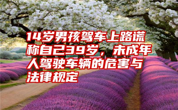 14岁男孩驾车上路谎称自己39岁，未成年人驾驶车辆的危害与法律规定