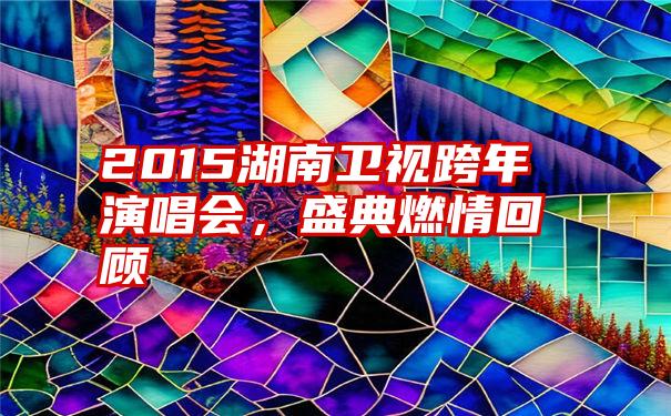 2015湖南卫视跨年演唱会，盛典燃情回顾