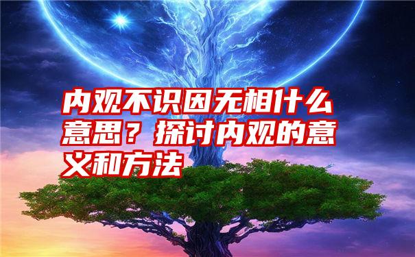 内观不识因无相什么意思？探讨内观的意义和方法