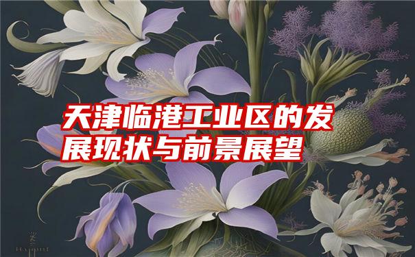 天津临港工业区的发展现状与前景展望