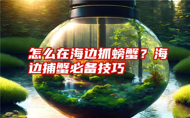 怎么在海边抓螃蟹？海边捕蟹必备技巧