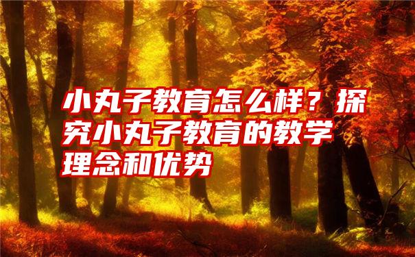 小丸子教育怎么样？探究小丸子教育的教学理念和优势