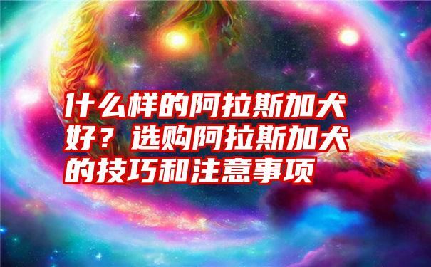 什么样的阿拉斯加犬好？选购阿拉斯加犬的技巧和注意事项