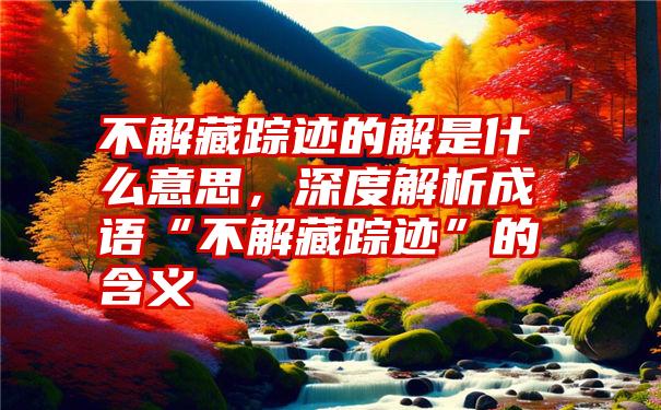 不解藏踪迹的解是什么意思，深度解析成语“不解藏踪迹”的含义