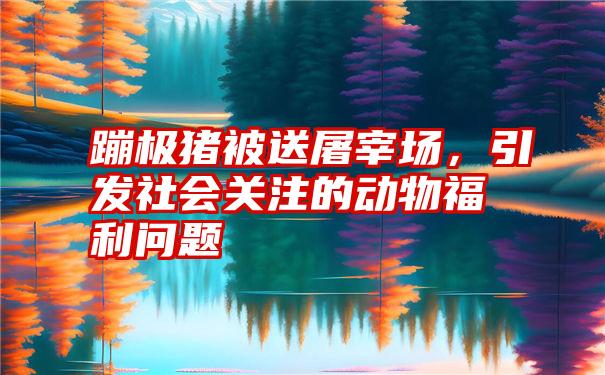 蹦极猪被送屠宰场，引发社会关注的动物福利问题