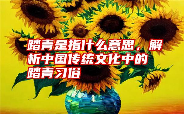 踏青是指什么意思，解析中国传统文化中的踏青习俗