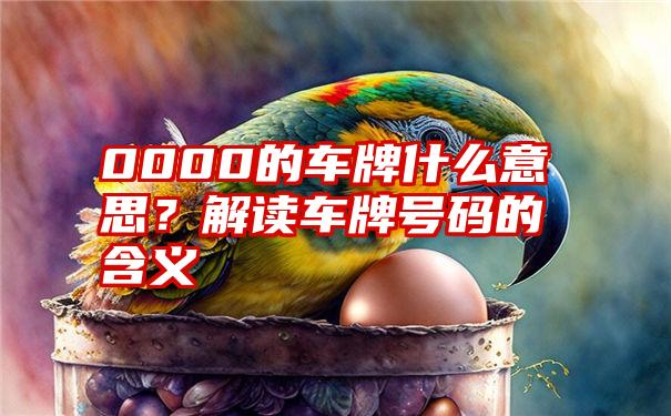 0000的车牌什么意思？解读车牌号码的含义