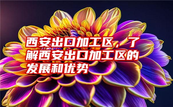 西安出口加工区,了解西安出口加工区的发展和优势