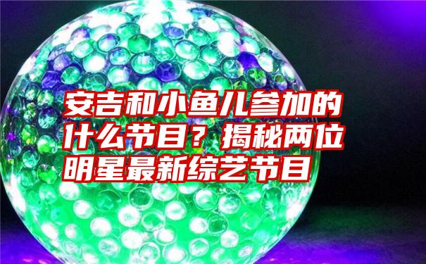 安吉和小鱼儿参加的什么节目？揭秘两位明星最新综艺节目