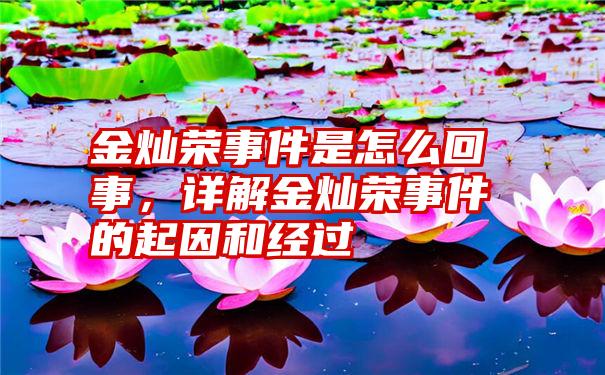 金灿荣事件是怎么回事，详解金灿荣事件的起因和经过