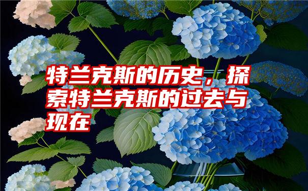 特兰克斯的历史,探索特兰克斯的过去与现在