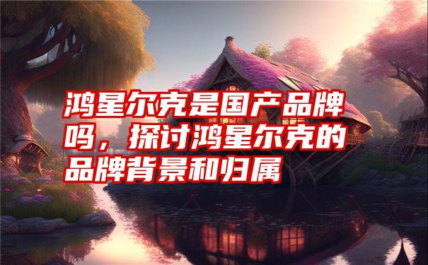 鸿星尔克是国产品牌吗，探讨鸿星尔克的品牌背景和归属