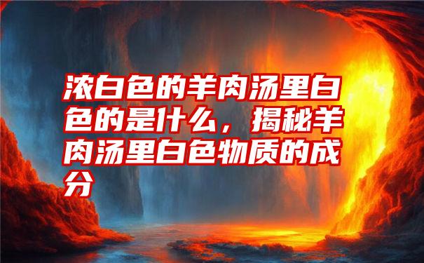 浓白色的羊肉汤里白色的是什么，揭秘羊肉汤里白色物质的成分