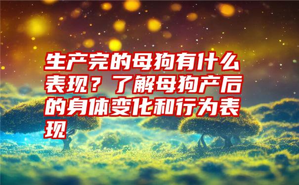 生产完的母狗有什么表现？了解母狗产后的身体变化和行为表现