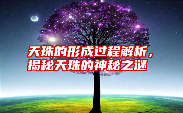 天珠的形成过程解析,揭秘天珠的神秘之谜