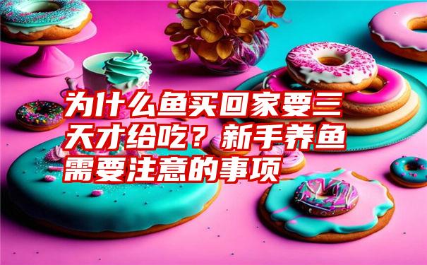 为什么鱼买回家要三天才给吃?新手养鱼需要注意的事项