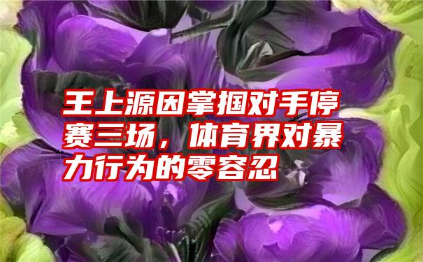 王上源因掌掴对手停赛三场，体育界对暴力行为的零容忍