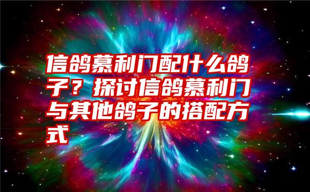 信鸽慕利门配什么鸽子？探讨信鸽慕利门与其他鸽子的搭配方式