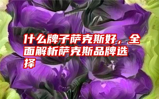 什么牌子萨克斯好，全面解析萨克斯品牌选择