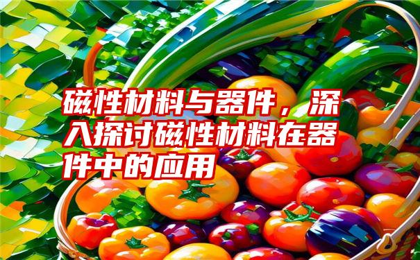 磁性材料与器件，深入探讨磁性材料在器件中的应用