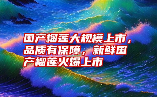 国产榴莲大规模上市,品质有保障,新鲜国产榴莲火爆上市