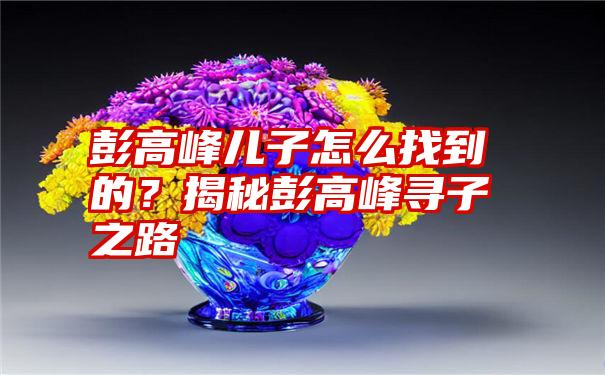 彭高峰儿子怎么找到的？揭秘彭高峰寻子之路