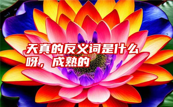 天真的反义词是什么呀,成熟的