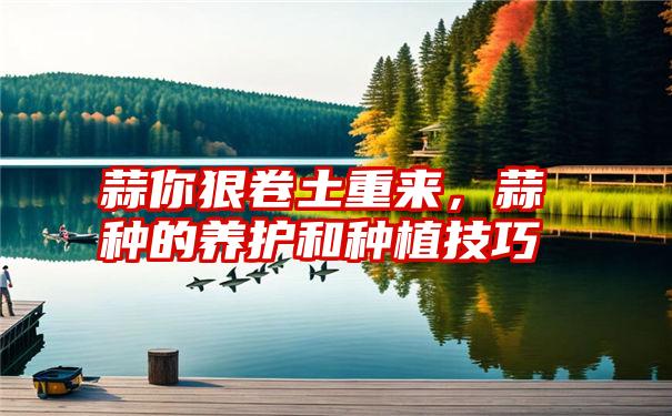 蒜你狠卷土重来，蒜种的养护和种植技巧