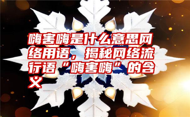 嗨害嗨是什么意思网络用语，揭秘网络流行语“嗨害嗨”的含义