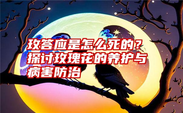 玫答应是怎么死的？探讨玫瑰花的养护与病害防治