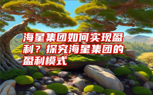 海星集团如何实现盈利？探究海星集团的盈利模式