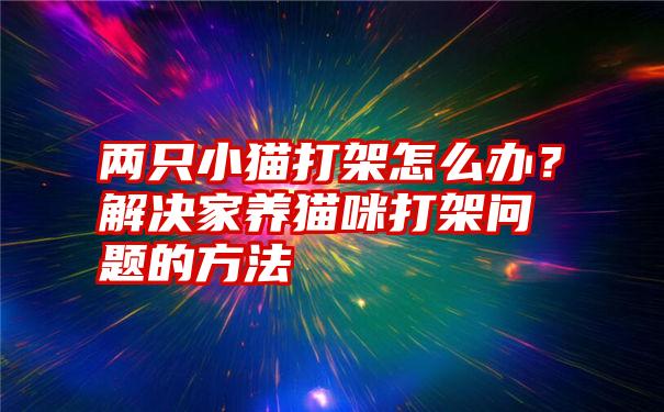 两只小猫打架怎么办？解决家养猫咪打架问题的方法