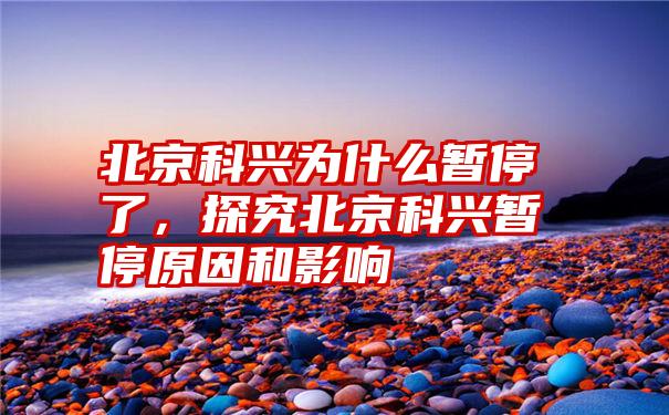 北京科兴为什么暂停了，探究北京科兴暂停原因和影响