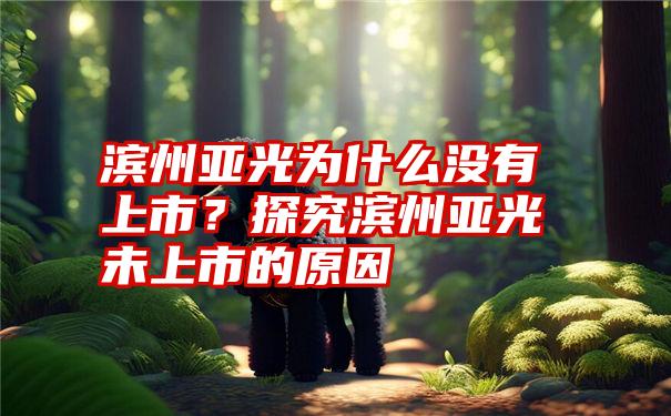 滨州亚光为什么没有上市？探究滨州亚光未上市的原因