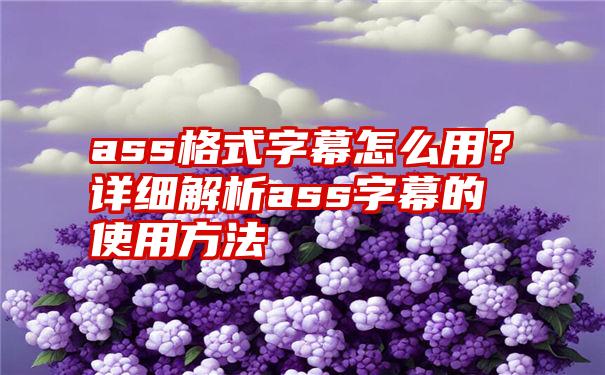 ass格式字幕怎么用？详细解析ass字幕的使用方法