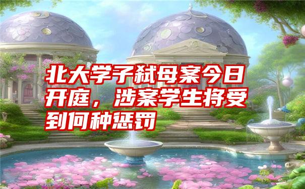 北大学子弑母案今日开庭,涉案学生将受到何种惩罚