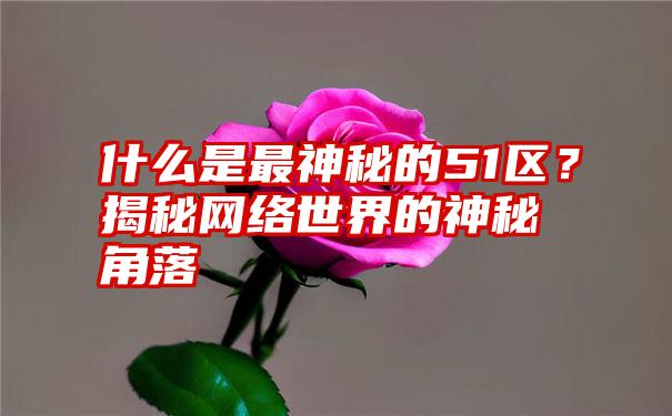 什么是最神秘的51区？揭秘网络世界的神秘角落