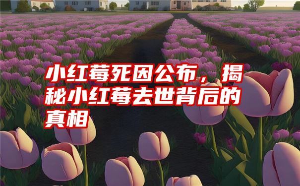 小红莓死因公布，揭秘小红莓去世背后的真相