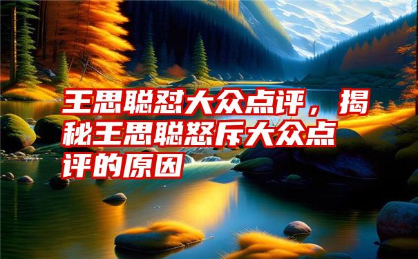 王思聪怼大众点评，揭秘王思聪怒斥大众点评的原因