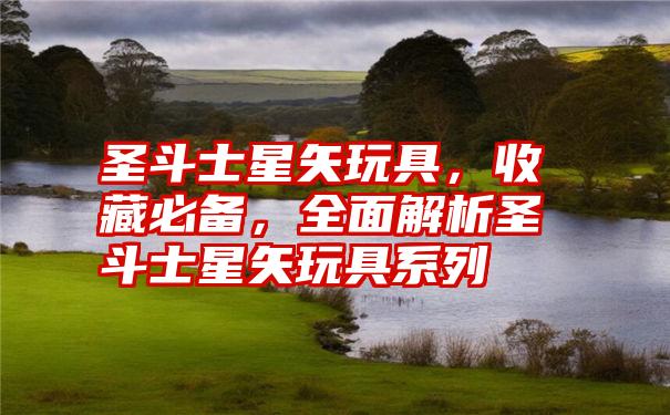 圣斗士星矢玩具,收藏必备,全面解析圣斗士星矢玩具系列